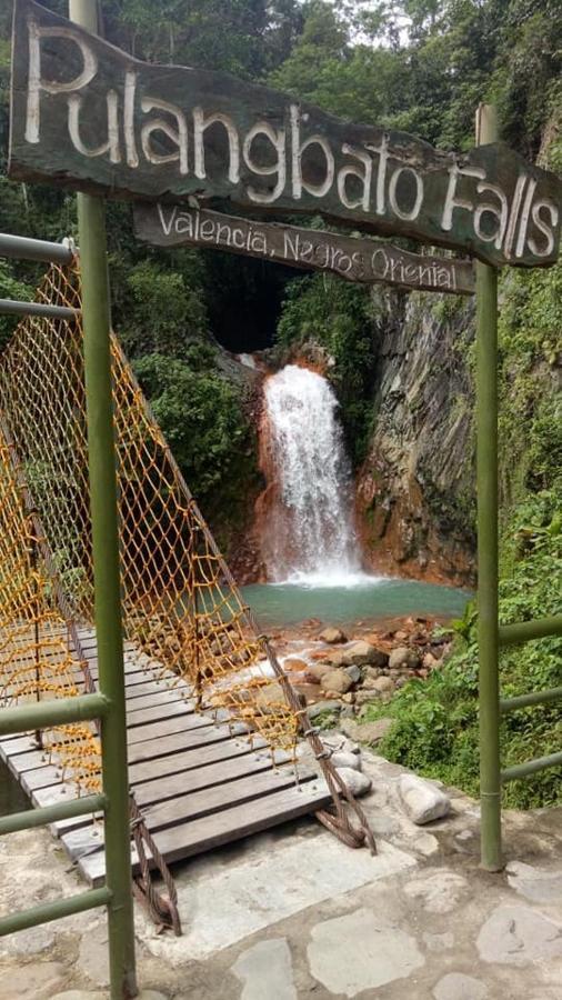 Pulangbato Falls Mountain Resort ドゥマゲティ エクステリア 写真